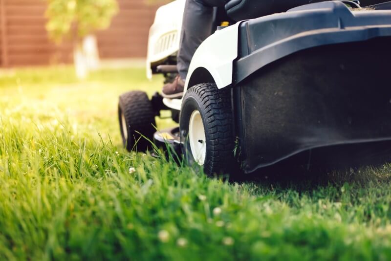 lawn care services